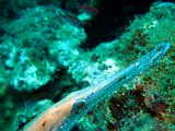 2015-03-28 13-33-15